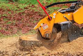 Best Tree Risk Assessment  in Sugarland Run, VA